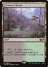 Llanowar Wastes (244) — card price