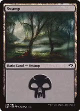 Swamp (039) (39) — card price