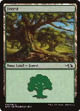 Forest (031) (EVG) (31) — card price