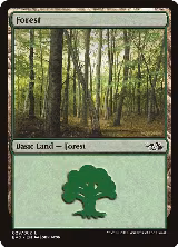 Forest (029) (EVG) (29) — card price