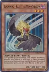 Blackwing - Kalut the Moon Shadow (LC5D-EN115) — card price