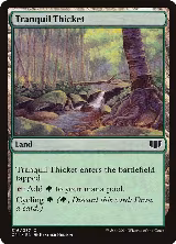 Tranquil Thicket (316) — card price