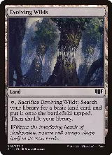 Evolving Wilds (295) — card price