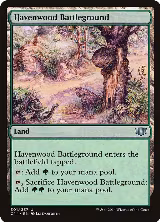 Havenwood Battleground (301) — card price