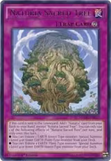 Naturia Sacred Tree (NECH-EN076) — card price