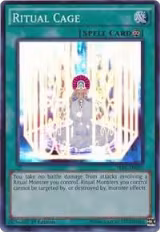Ritual Cage (THSF-EN055) — card price