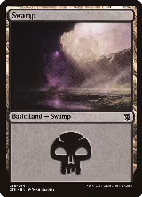 Swamp (256) (256) — card price