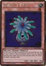 Glow-Up Bulb (PGL2-EN033), Premium Gold: Return of the Bling — Yu-Gi-Oh! card price