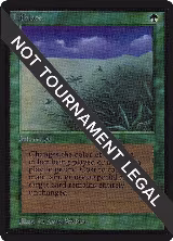 Lifelace (IE) — card price