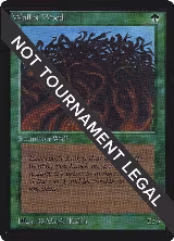 Wall of Wood (IE) — card price