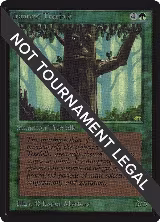 Ironroot Treefolk (CE) — card price