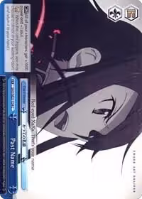 Past Name (SAO/SE23-E34 C), Sword Art Online II — Weiß Schwarz card price