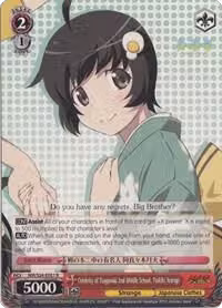 Celebrity of Tsuganoki 2nd Middle School, Tsukihi Araragi (NM/S24-E051), NISEMONOGATARI — Weiß Schwarz card price