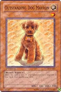 Outstanding Dog Marron (DCR-062), Dark Crisis — Yu-Gi-Oh! card price