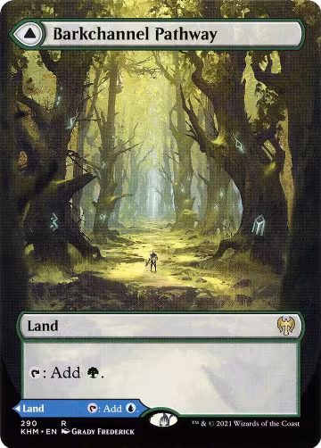 Barkchannel Pathway (Borderless) (290), Kaldheim — Magic card price