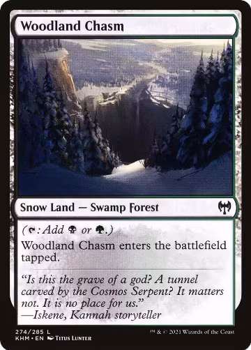 Woodland Chasm (274), Kaldheim — Magic card price