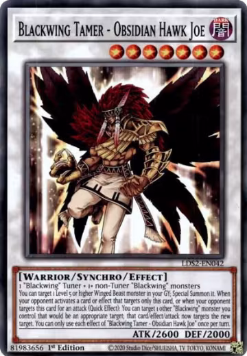 Blackwing Tamer - Obsidian Hawk Joe (LDS2-EN042), Legendary Duelists: Season 2 — Yu-Gi-Oh! card price