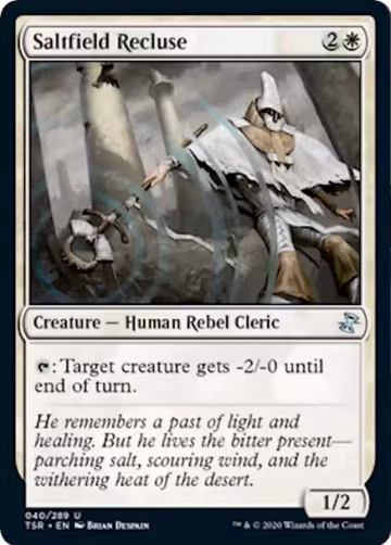 Saltfield Recluse (40), Time Spiral: Remastered — Magic card price