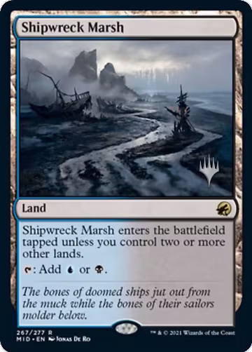 Shipwreck Marsh (267) — card price