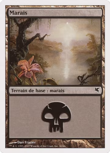 Swamp (French) - "Marais" (E36) (E36), Magic Encyclopedia 2005 (Salvat/Hachette) — Magic card price