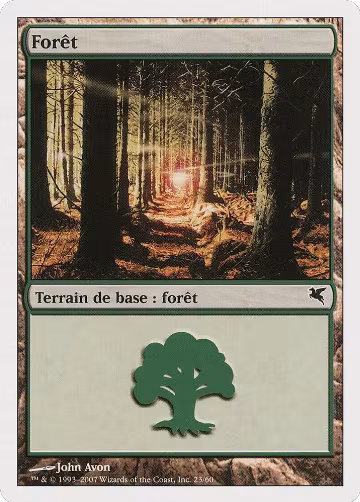 Forest (French) - "Foret" (B23) (B23), Magic Encyclopedia 2005 (Salvat/Hachette) — Magic card price