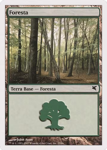 Forest (Italian) - "Foresta" (D23) (D23), Magic Encyclopedia 2005 (Salvat/Hachette) — Magic card price