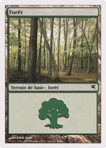 Forest (French) - "Foret" (D60) (D60), Magic Encyclopedia 2005 (Salvat/Hachette) — Magic card price