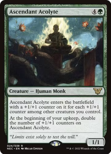 Ascendant Acolyte (24), Commander: Kamigawa: Neon Dynasty — Magic card price