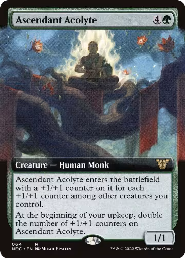 Ascendant Acolyte (Extended Art) (64), Commander: Kamigawa: Neon Dynasty — Magic card price