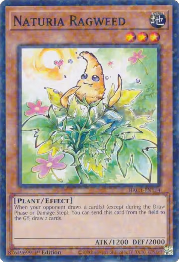 Naturia Ragweed (Duel Terminal) (HAC1-EN114), Hidden Arsenal: Chapter 1 — Yu-Gi-Oh! card price