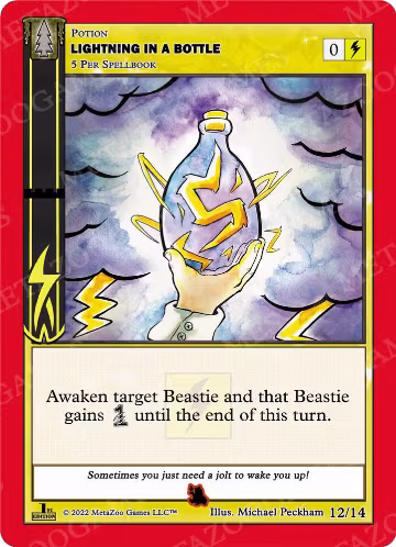 Lightning in a Bottle (Flame) (12/14), Wilderness: First Edition Tribal Theme Decks — MetaZoo card price