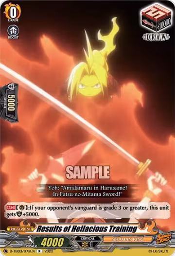 Results of Hellacious Training (D-TB03/073EN), D-TB03: Shaman King — Vanguard card price