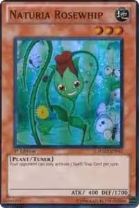 Naturia Rosewhip (HA02-EN041) — card price
