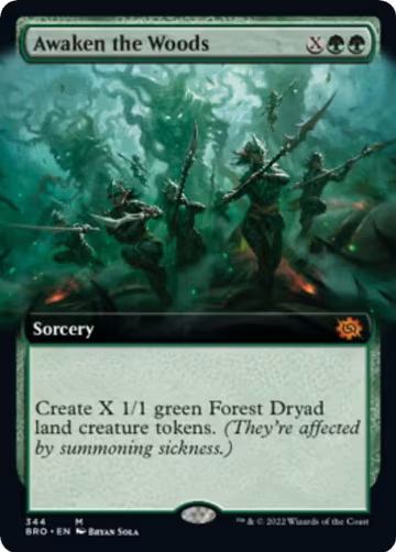 Awaken the Woods (Extended Art) (344), The Brothers' War — Magic card price