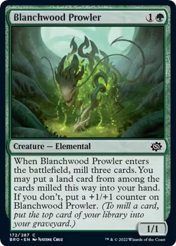 Blanchwood Prowler (172), The Brothers' War — Magic card price