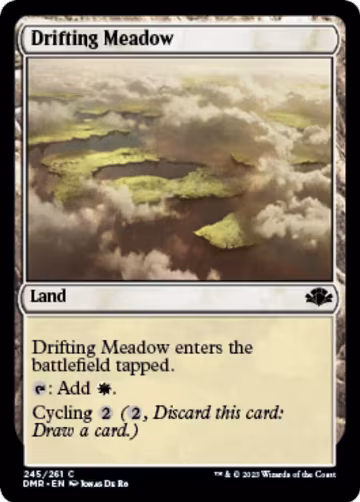 Drifting Meadow (245), Dominaria Remastered — Magic card price