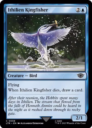 Ithilien Kingfisher (58), Universes Beyond: The Lord of the Rings: Tales of Middle-earth — Magic card price
