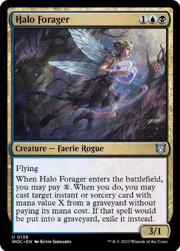 Halo Forager (139), Commander: Wilds of Eldraine — Magic card price