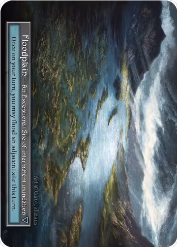 Floodplain (Foil), Beta — Sorcery card price