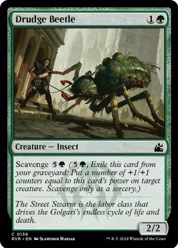 Drudge Beetle (136), Ravnica Remastered — Magic card price