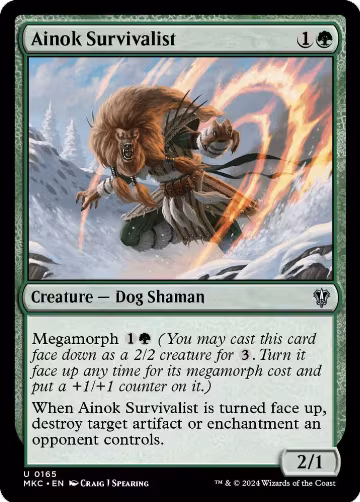 Ainok Survivalist (165), Commander: Murders at Karlov Manor — Magic card price