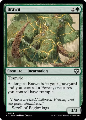 Brawn (Ripple Foil) (224), Commander: Modern Horizons 3 — Magic card price