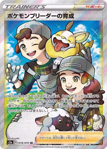 Pokemon Breeder's Nurturing - 078/070 (078/070) — card price