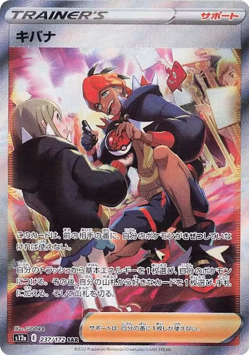 Raihan - 237/172 (237/172), VSTAR Universe — Pokémon JP card price