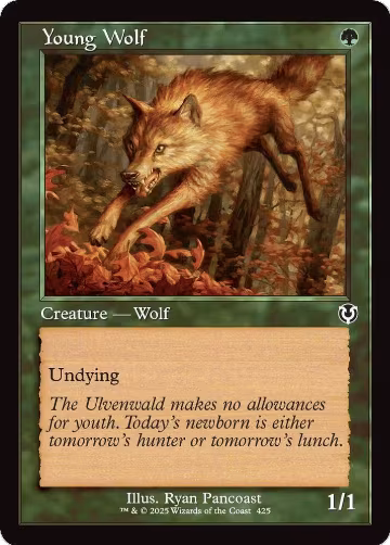 Young Wolf (Retro Frame) (425), Innistrad Remastered — Magic card price