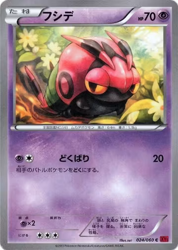 Venipede (024/060), XY-By: Collection Y — Pokémon JP card price