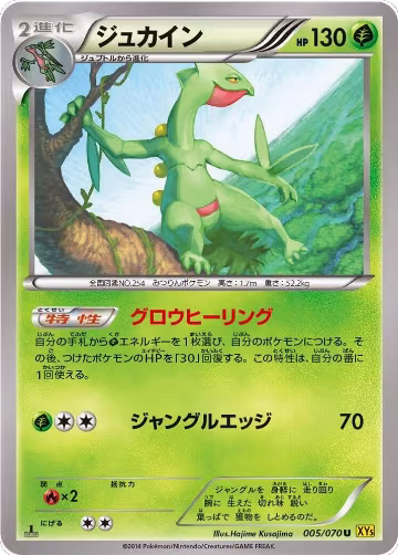 Sceptile - 005/070 (005/070), XY5-Bg: Gaia Volcano — Pokémon JP card price