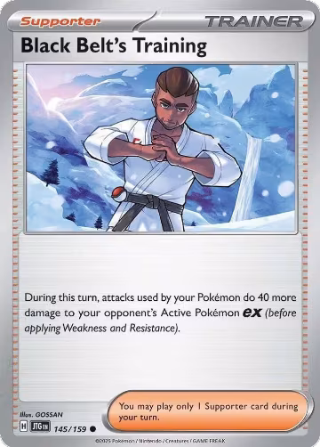 Black Belt's Training - 145/159 (145/159), Journey Together — Pokémon card price