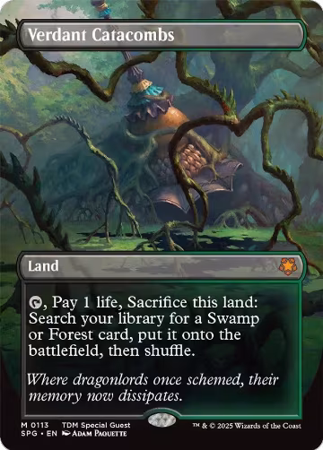 Verdant Catacombs (Borderless) (113), Special Guests — Magic card price