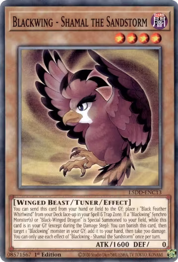 Blackwing - Shamal the Sandstorm (L5DD-ENC13), Legendary 5D's Decks — Yu-Gi-Oh! card price